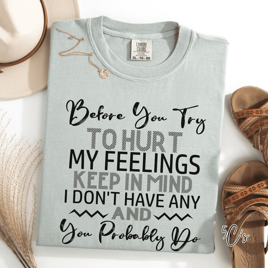 Before You Try Hurt My Feelings Graphic Tee