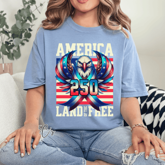 America Land Of The Free 250 Years Graphic Tee