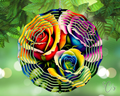 Rainbow Roses Wind Spinner